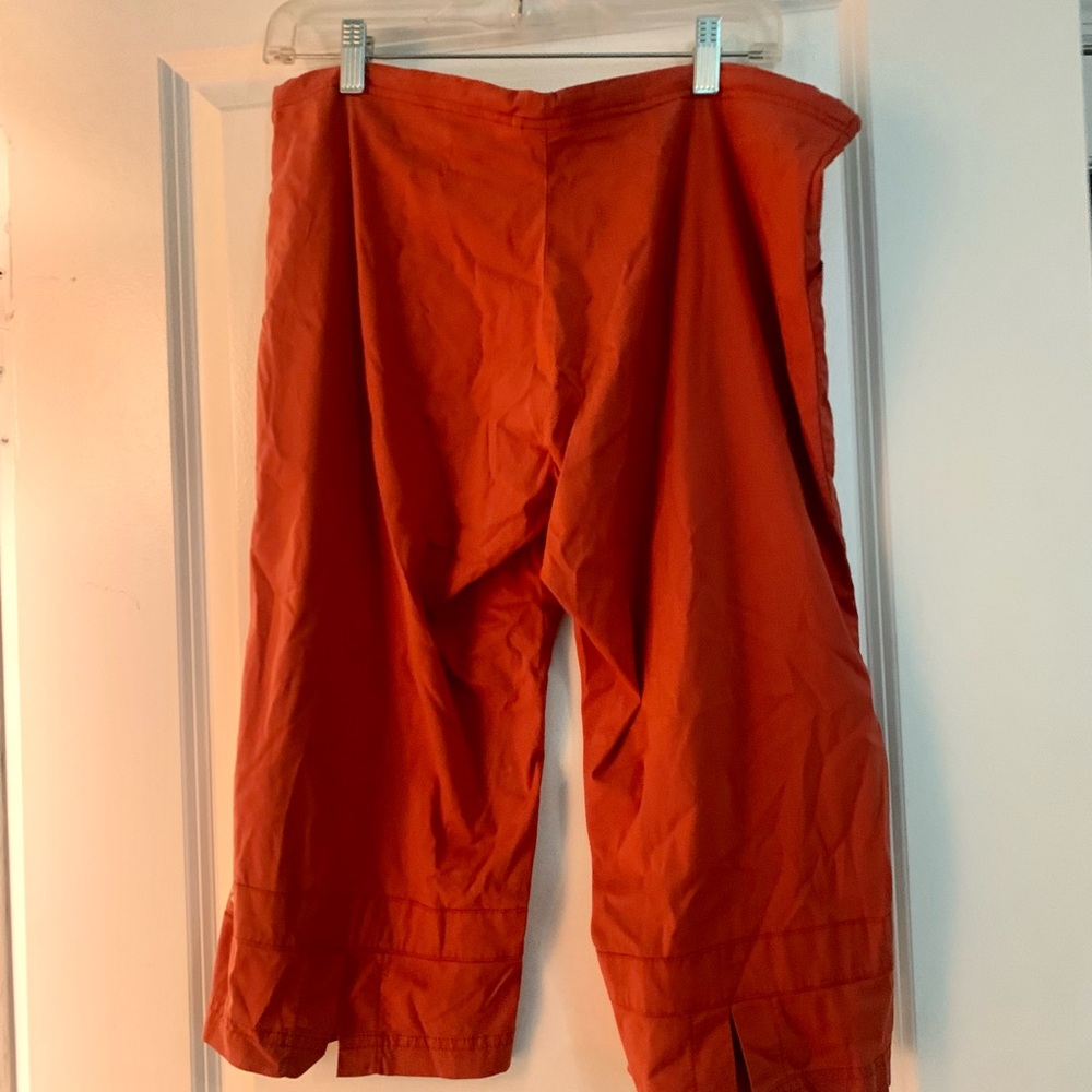 Rust Orange Capri length be present pants in orange. 🍊 - Picture 4 of 5